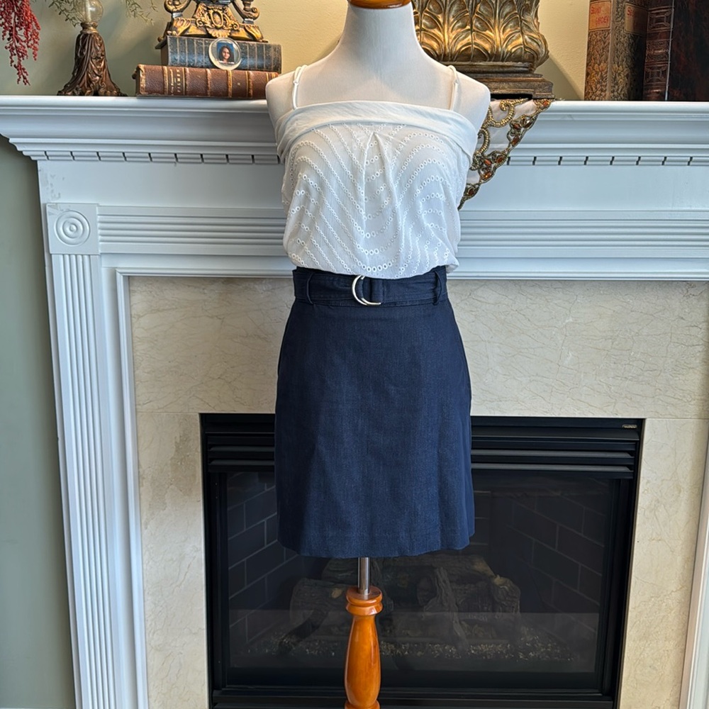 Ann Taylor Denim Skirt